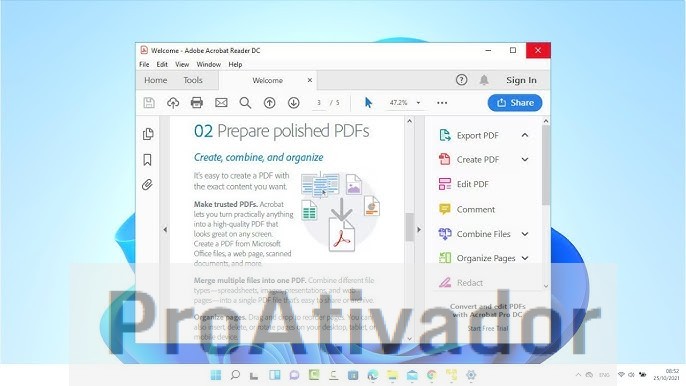 Adobe Acrobat Reader Crackeado 2025.001.20997 Pro PT-BR